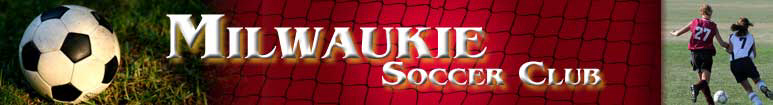 Oregon Youth Soccer Association banner